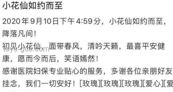 前妻告诫：张纪中如何避免冲突升级实用指南